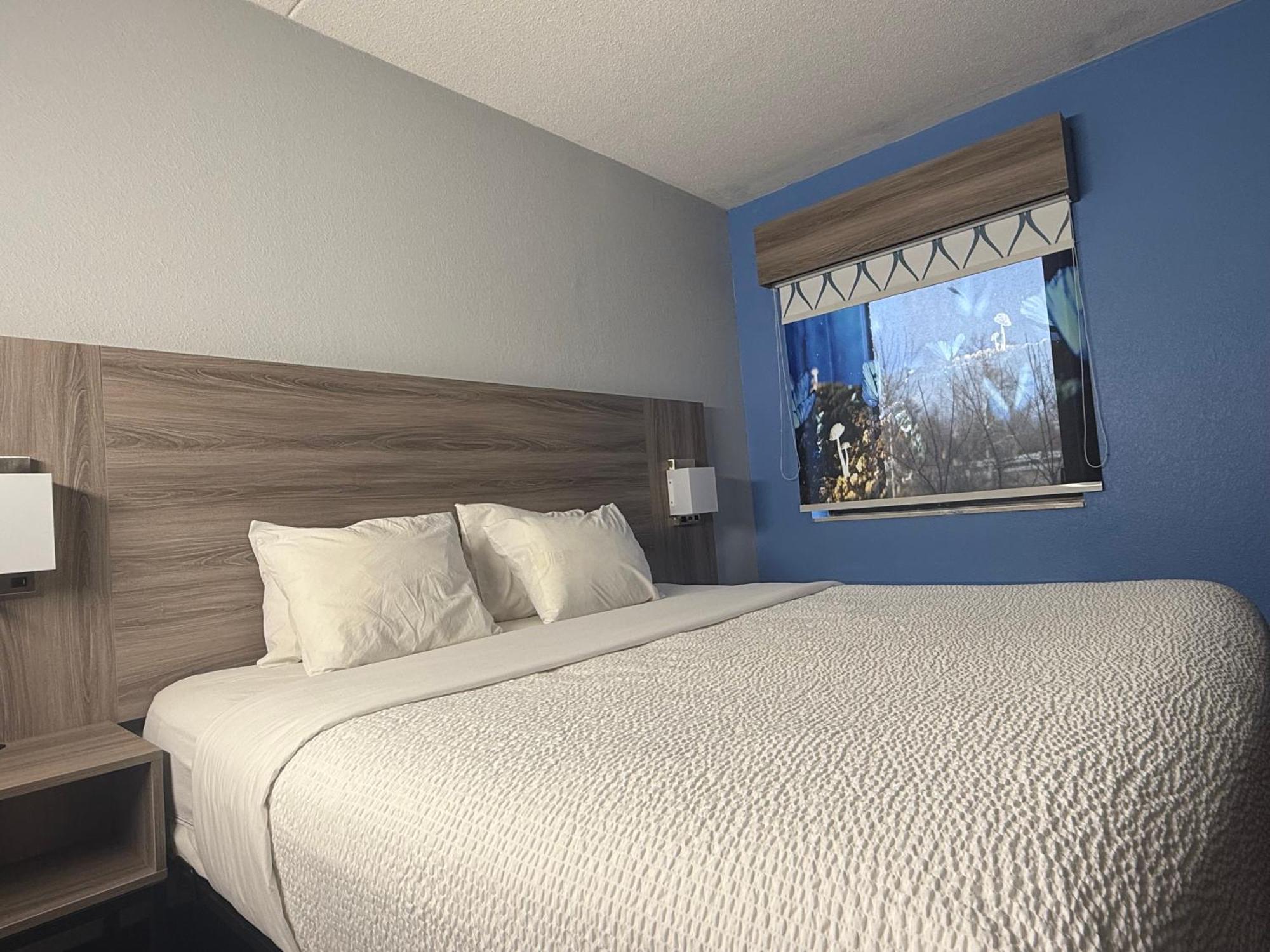 Hotel Baymont By Wyndham South 2*
